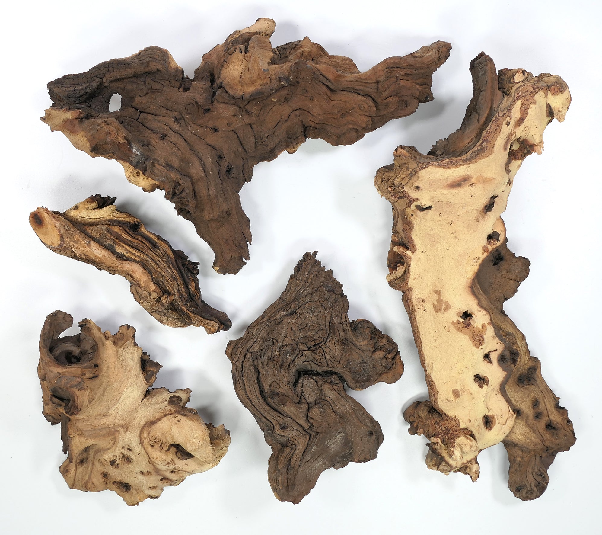 🪵🌿Mopaniholz Wurzeln – Naturholz Deko für Aquarium, Terrarium & Wohnraum, 6 Größen (4–50 cm), Handverlesen & Unikat