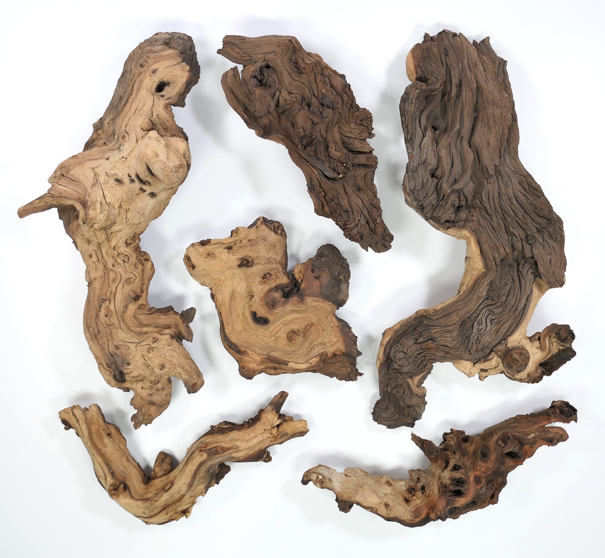 🪵🌿Mopaniholz Wurzeln – Naturholz Deko für Aquarium, Terrarium & Wohnraum, 6 Größen (4–50 cm), Handverlesen & Unikat