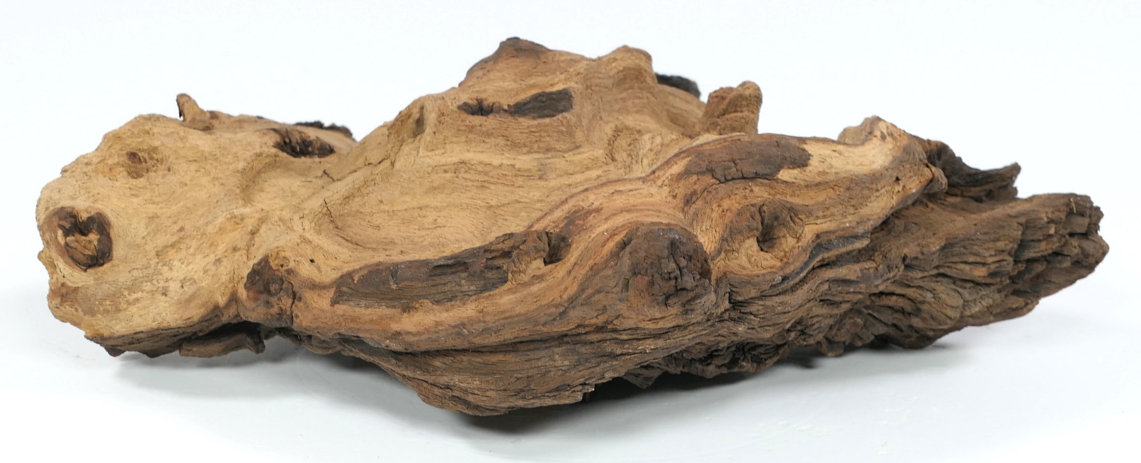 🪵🌿Mopaniholz Wurzeln – Naturholz Deko für Aquarium, Terrarium & Wohnraum, 6 Größen (4–50 cm), Handverlesen & Unikat