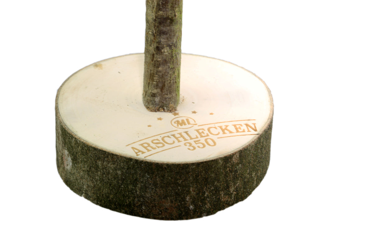 Deckelbaum-Sockel mit graviertem Firmenschriftzug auf hellem Naturholz.