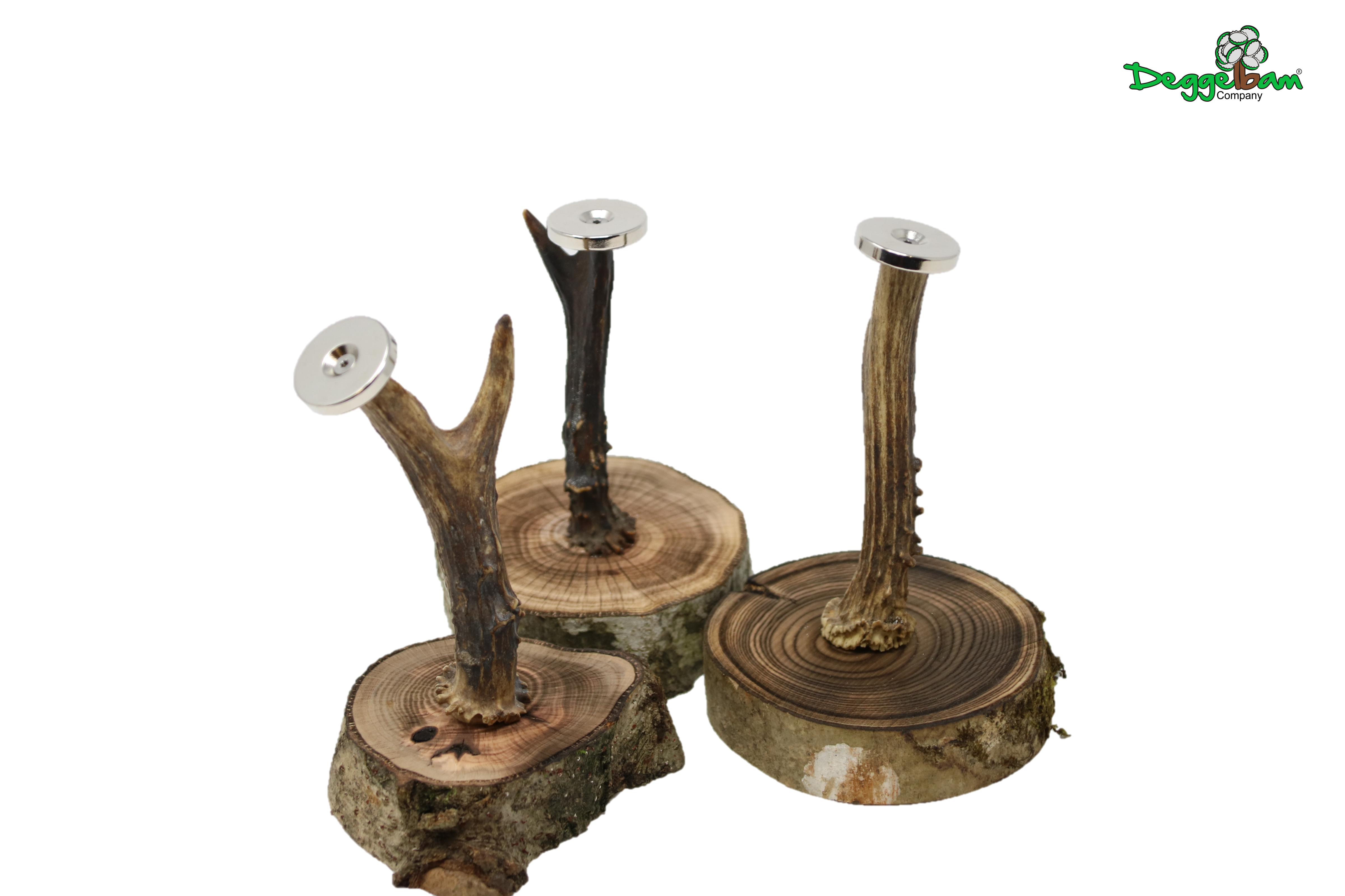 Jägerbaum - Magnetbaum - Kronkorkenbaum