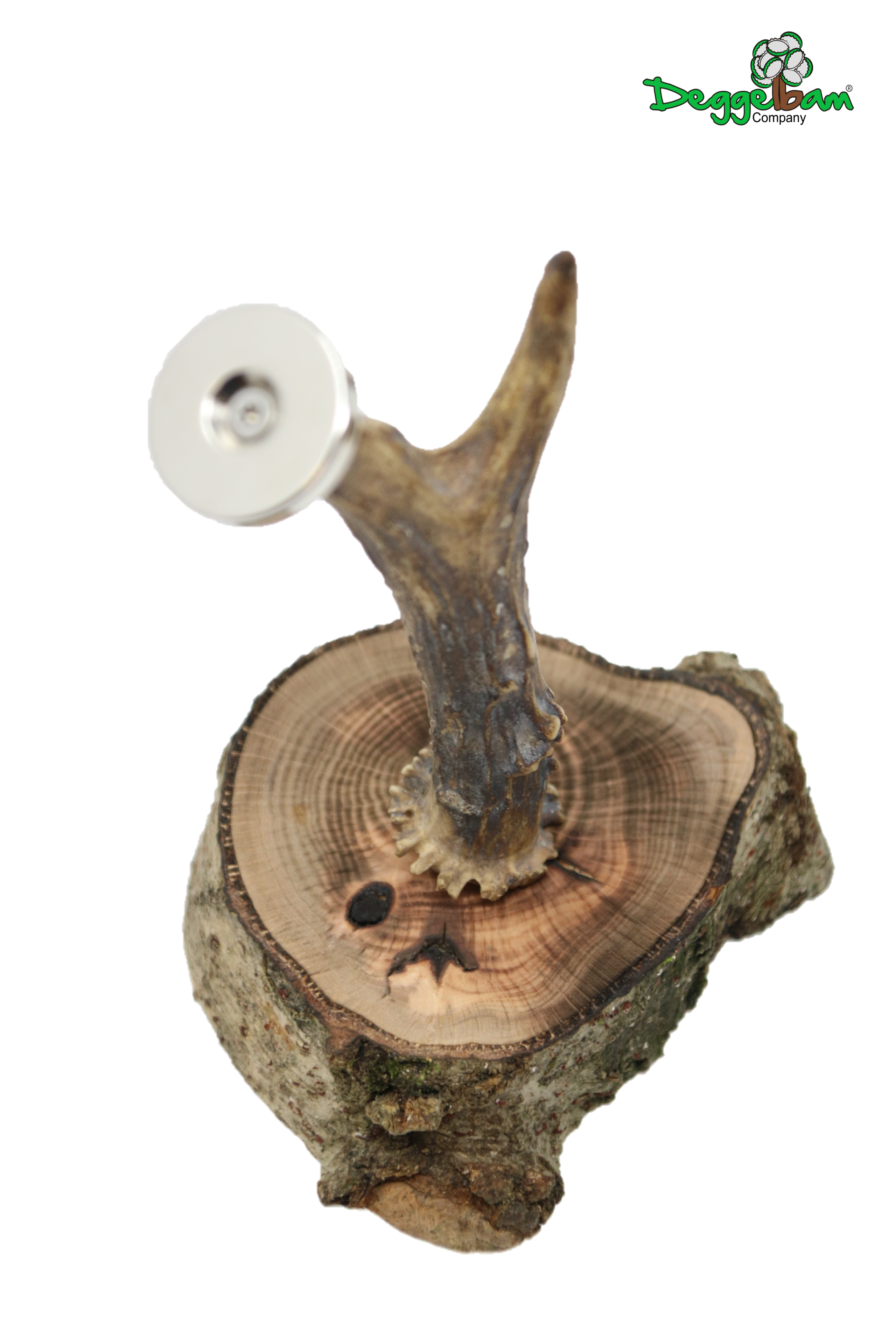 Jägerbaum - Magnetbaum - Kronkorkenbaum