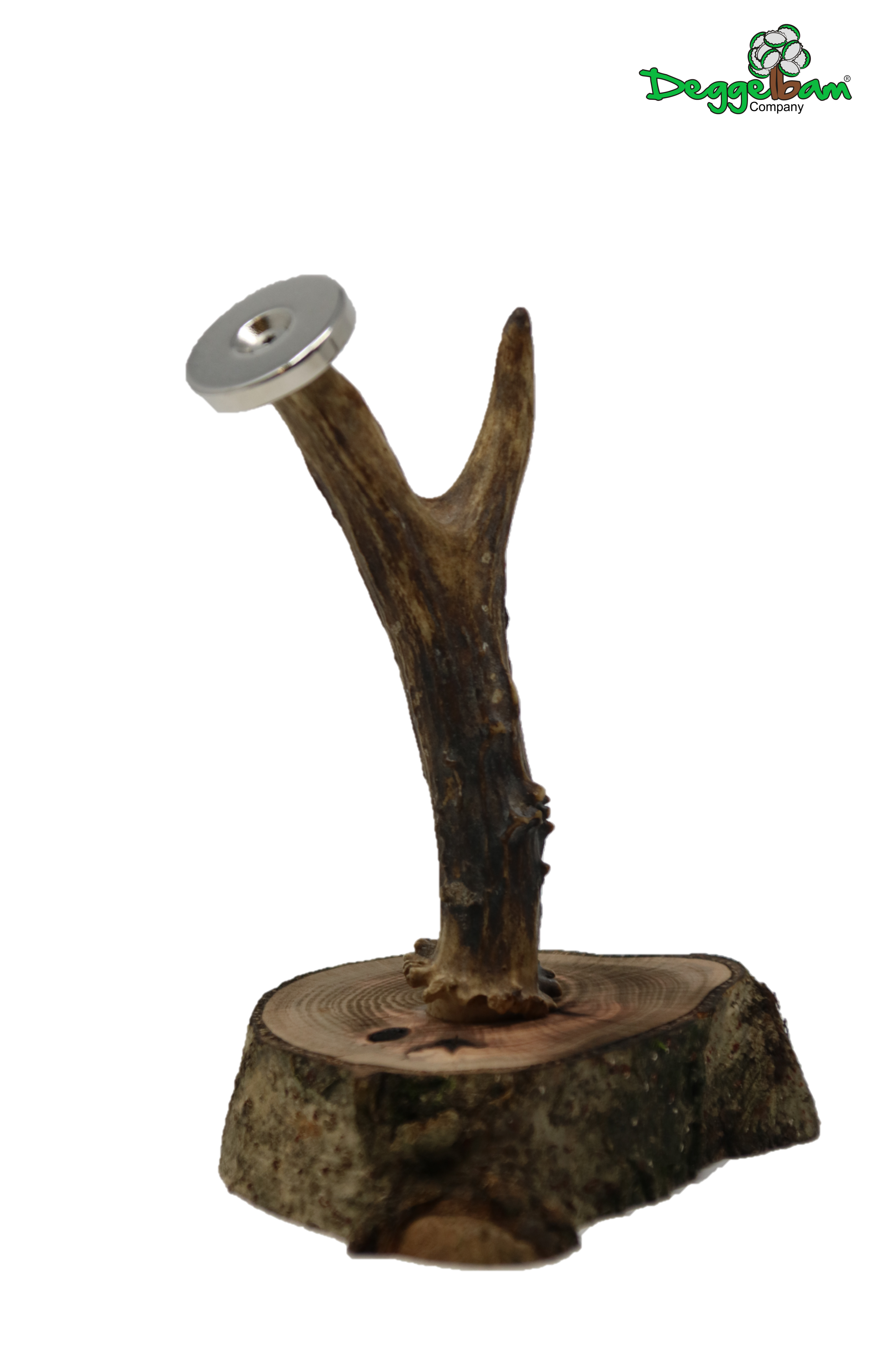 Jägerbaum - Magnetbaum - Kronkorkenbaum